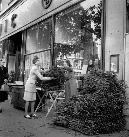 Femmes aux fagots